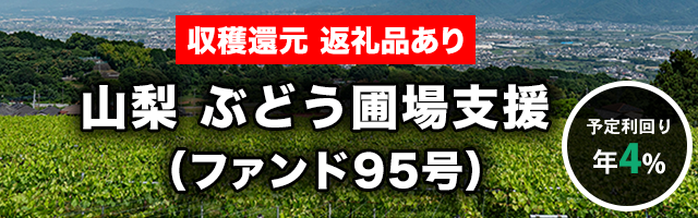 山梨 ぶどう圃場支援（ファンド95号）