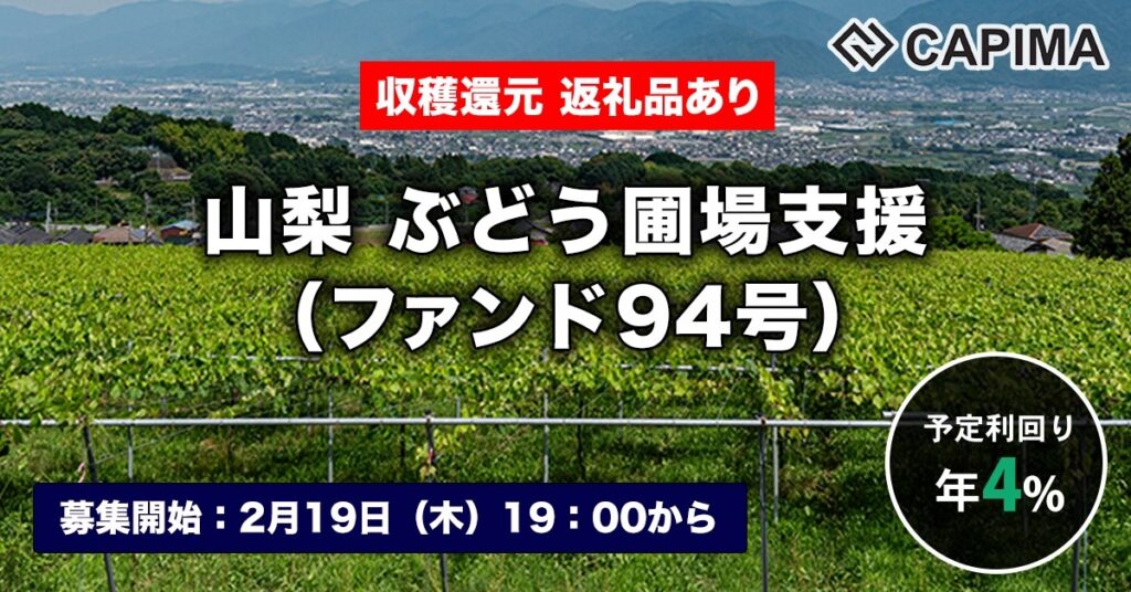 返礼品付き「山梨 ぶどう圃場支援（ファンド94号）」新規募集のお知らせ ***先着募集***