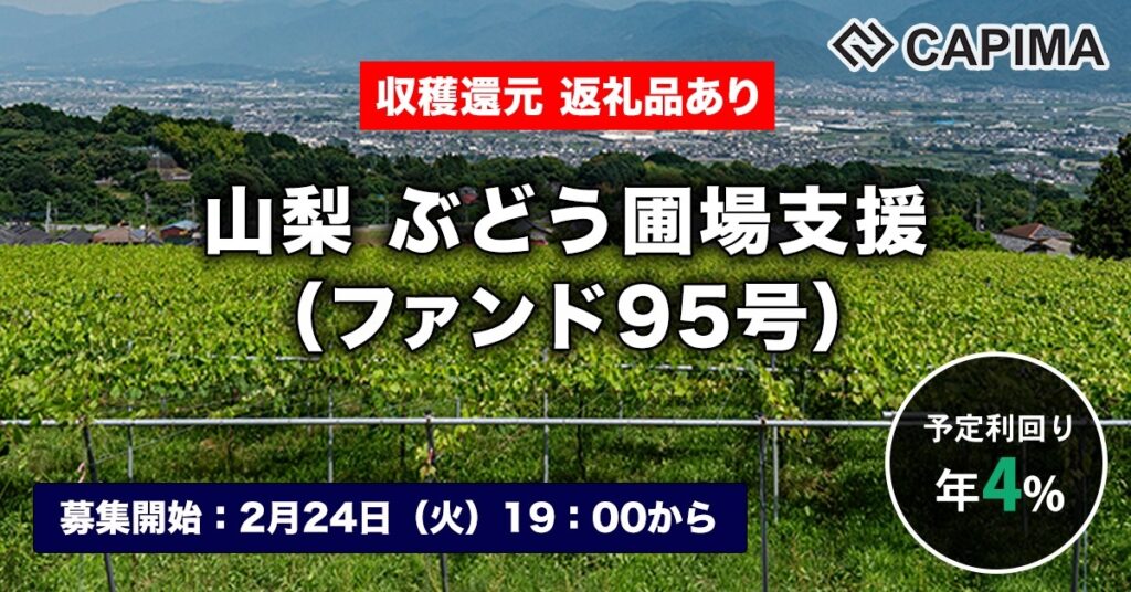 返礼品付き「山梨 ぶどう圃場支援（ファンド95号）」新規募集のお知らせ ***抽選募集***